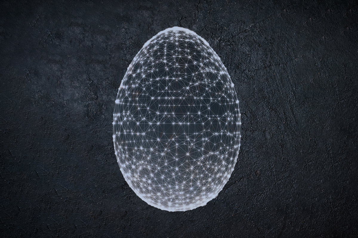 Egg matrix